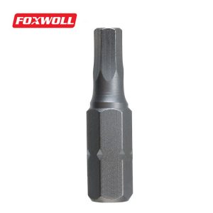 Screwdriver bit Hexagon screwdriver bit 1/4 Inch Hex Shank-foxwoll