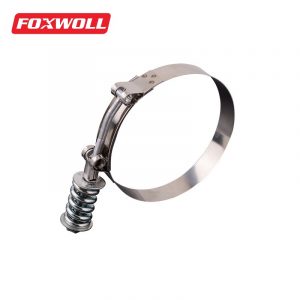 201304316 Stainless Steel Hose Clamps T Bolt-FOXWOLL-1