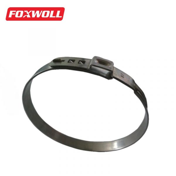Ear Hose Clamp Spring Titanium Zinc Plated-FOXWOLL-2