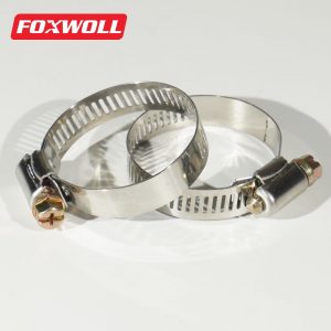 worm drive clamps Stainless Steel 201 Germany Type-FOXWOLL-1 (3)